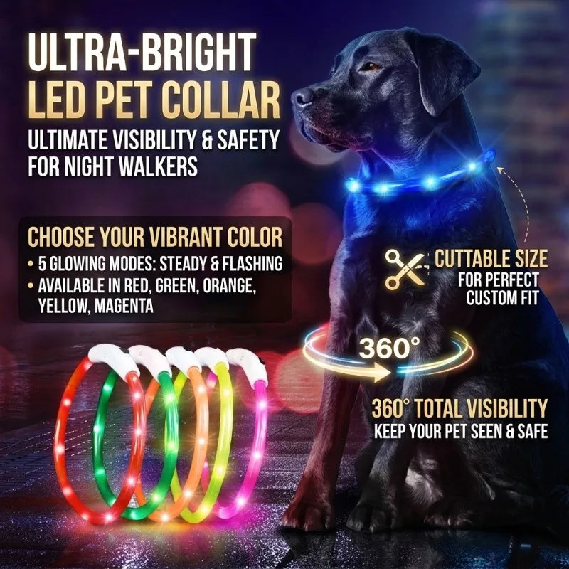 Collar LED Recargable para Perros — Visibilidad Nocturna 360°