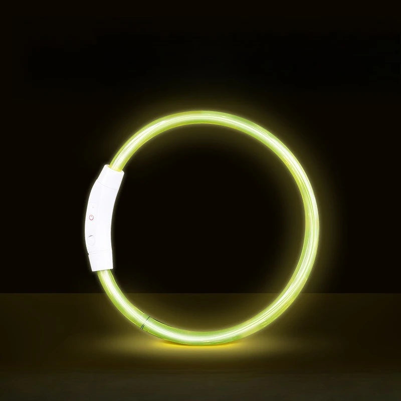 Collar LED Recargable para Perros — Visibilidad Nocturna 360°