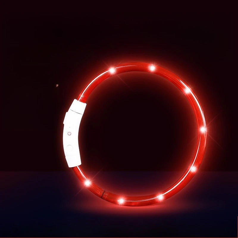 Collar LED Recargable para Perros — Visibilidad Nocturna 360°