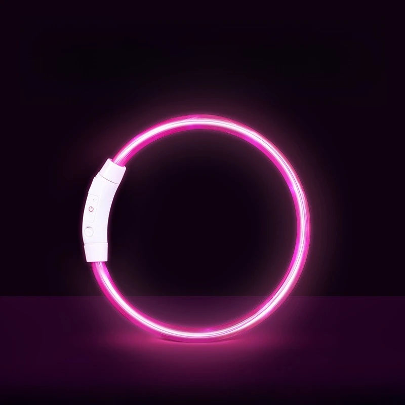 Collar LED Recargable para Perros — Visibilidad Nocturna 360°