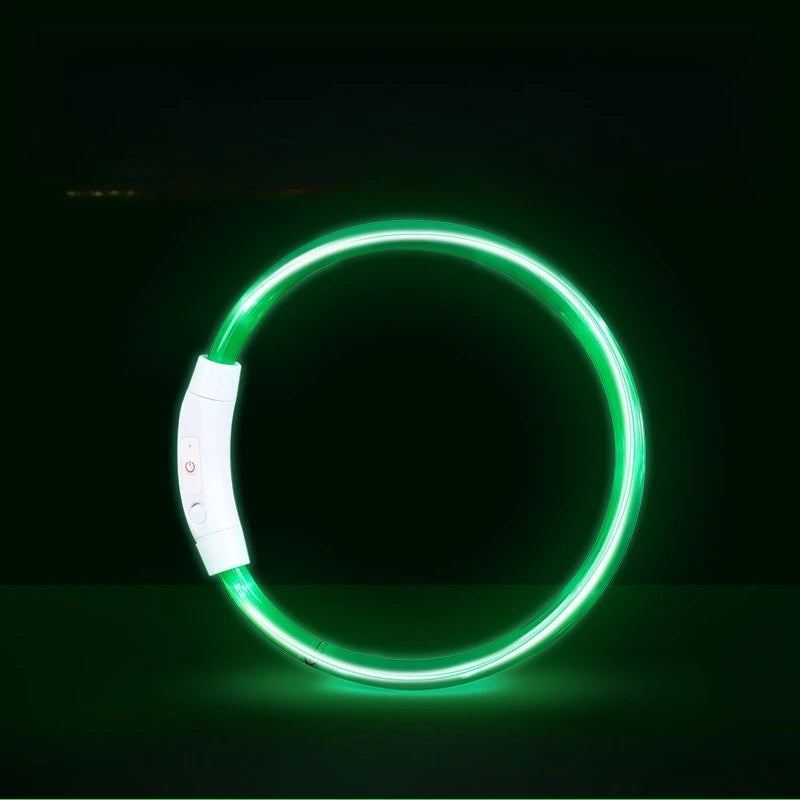 Collar LED Recargable para Perros — Visibilidad Nocturna 360°