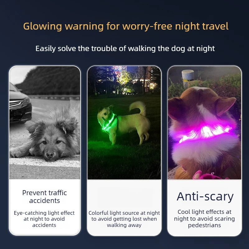 Collar LED Recargable para Perros — Visibilidad Nocturna 360°