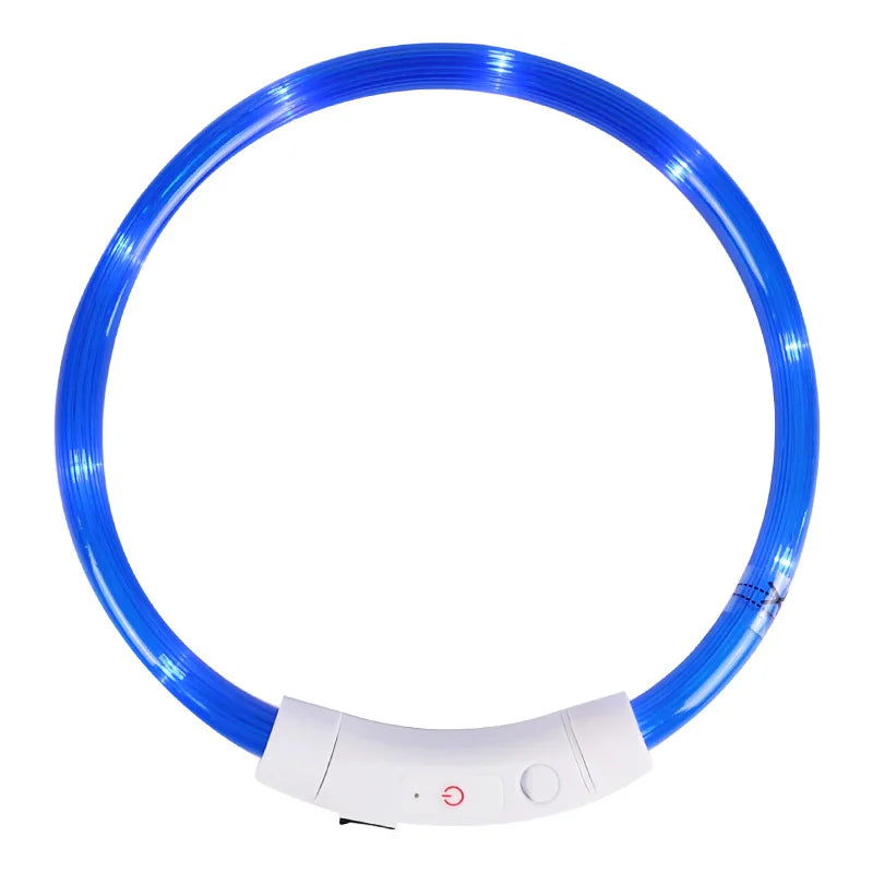 Collar LED Recargable para Perros — Visibilidad Nocturna 360°