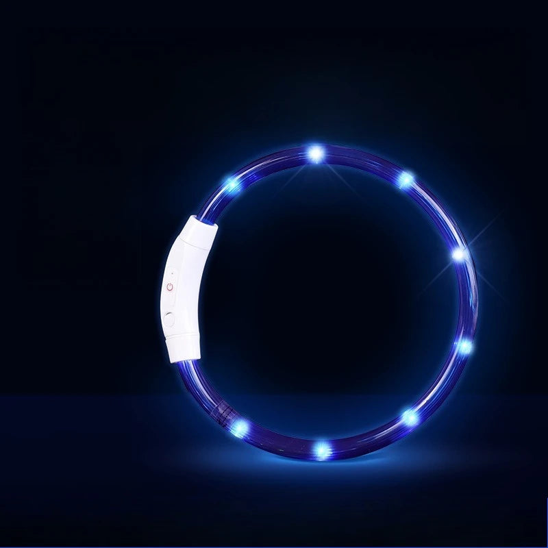 Collar LED Recargable para Perros — Visibilidad Nocturna 360°