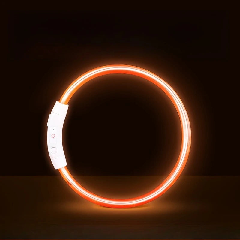 Collar LED Recargable para Perros — Visibilidad Nocturna 360°