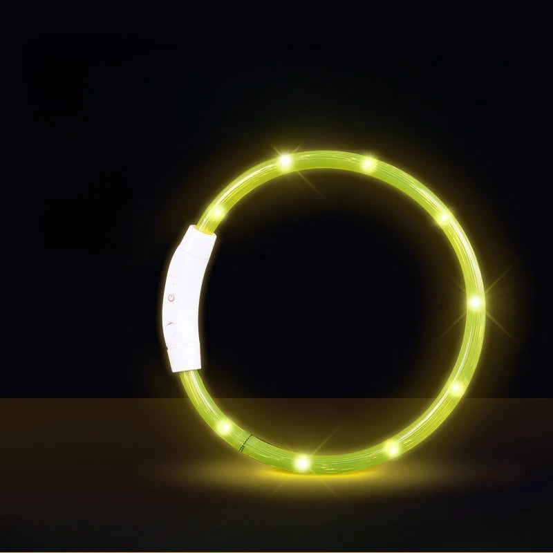 Collar LED Recargable para Perros — Visibilidad Nocturna 360°