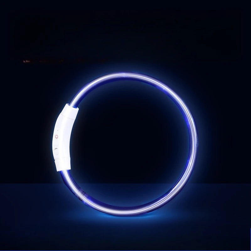 Collar LED Recargable para Perros — Visibilidad Nocturna 360°