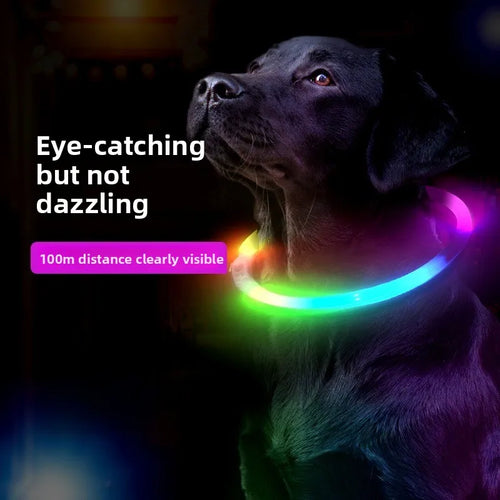 Collar LED Recargable para Perros — Visibilidad Nocturna 360°