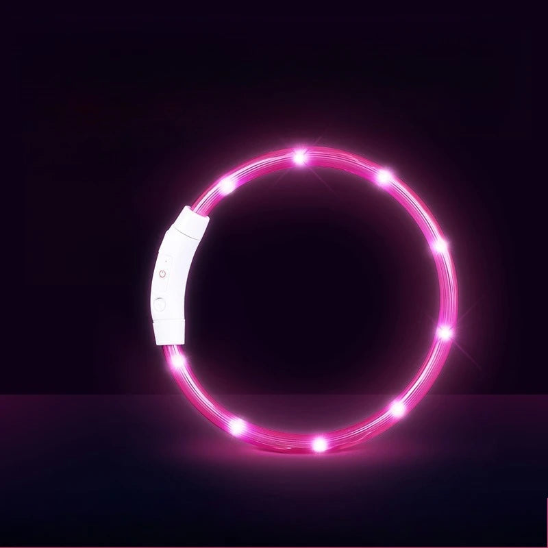 Collar LED Recargable para Perros — Visibilidad Nocturna 360°