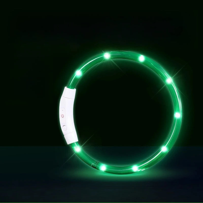 Collar LED Recargable para Perros — Visibilidad Nocturna 360°